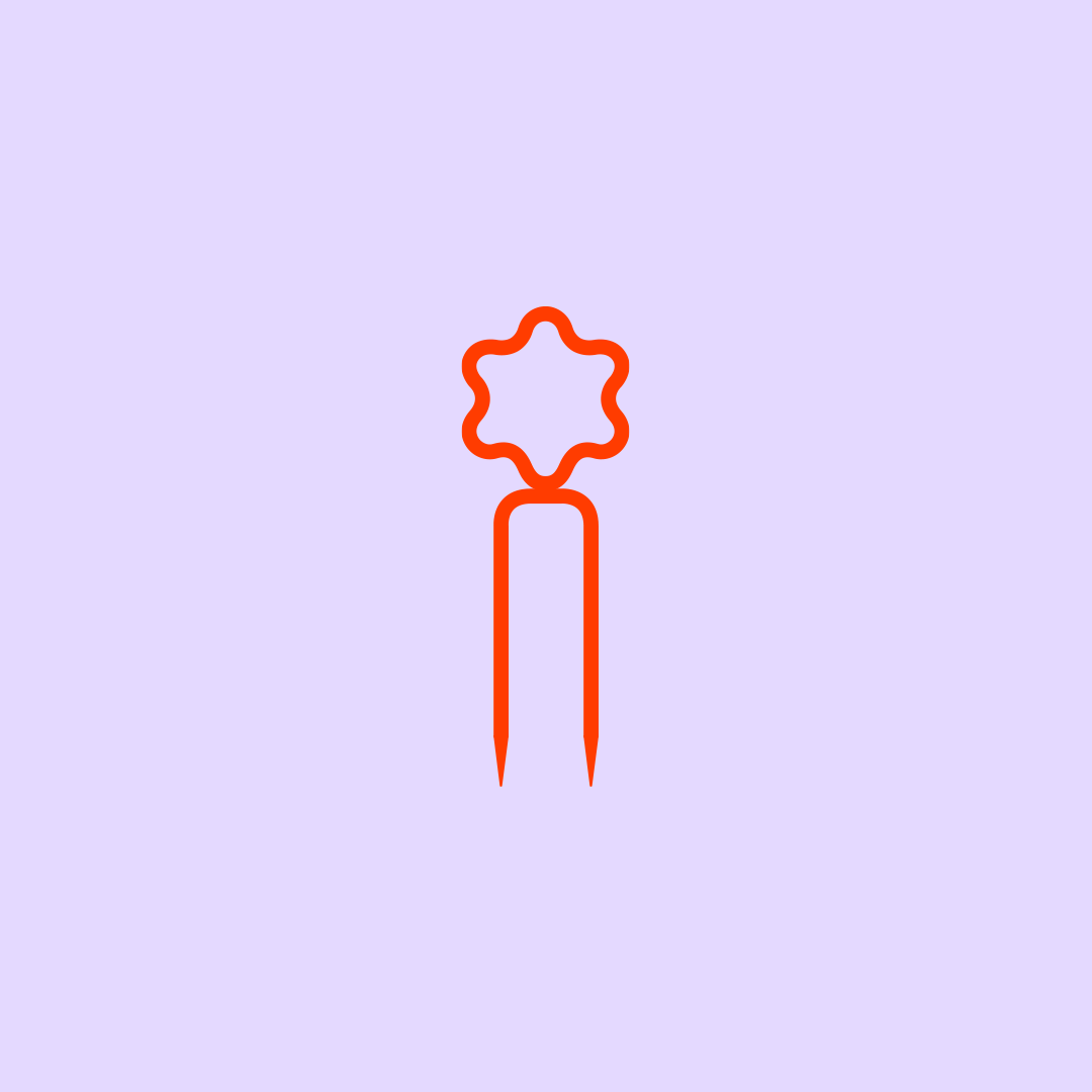 WHIMSY Model